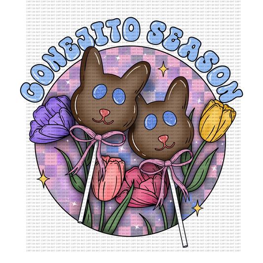 CONEJITO SEASON DTF TRANSFER